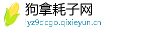 狗拿耗子网